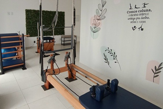 Imagem 1 da galeria do parceiro D. Fluir Pilates