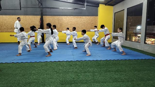 Imagem 1 da galeria do parceiro Studio Argos