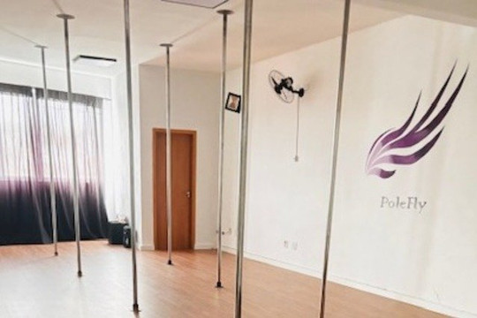 Imagem 1 da galeria do parceiro Pole Fly