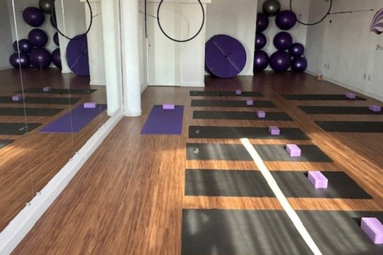 Imagem 2 da galeria do parceiro Pole Fly