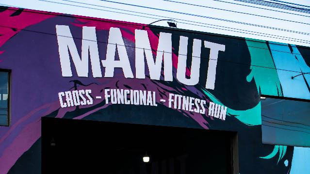 Imagem 2 da galeria do parceiro MAMUT Crosstraining