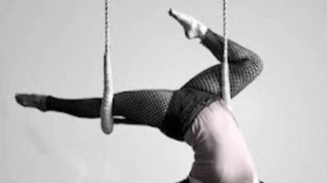 Image 3 from Gravity Aerial Arts partner gallery