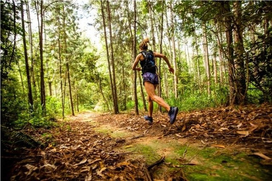 Imagem 3 da galeria do parceiro 4Any1 - Parque Ibirapuera