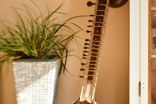 Bild 3 von Shivas Garten Partnergalerie