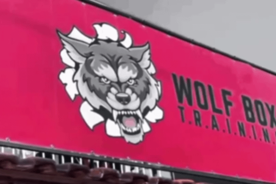Imagem 2 da galeria do parceiro wolf box training