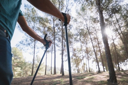 Bild 2 von Nordic Walking Gruppe - Petra Falkenbach Partnergalerie