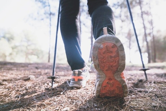 Bild 1 von Nordic Walking Gruppe - Petra Falkenbach Partnergalerie