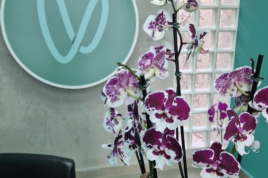 Imagem 3 da galeria do parceiro Voll Pilates Museu do Ipiranga