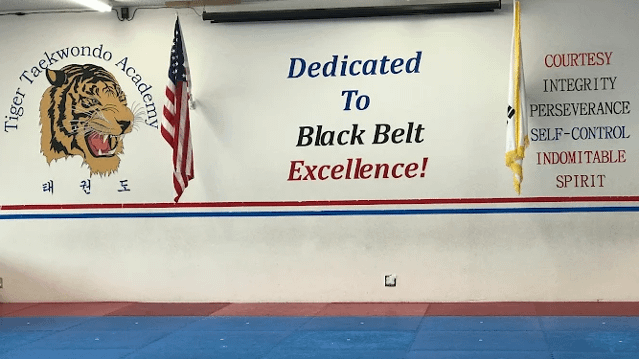 Image 1 from Tiger Taekwondo Academy partner gallery