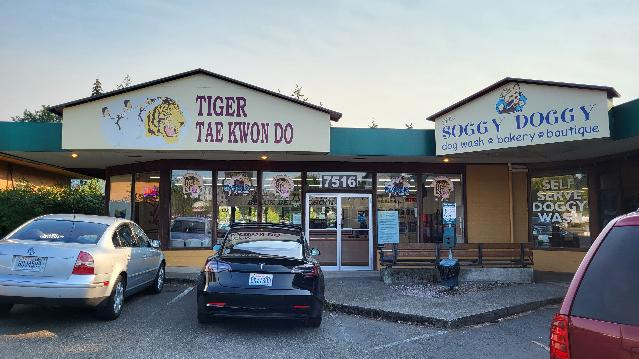 Image 2 from Tiger Taekwondo Academy partner gallery