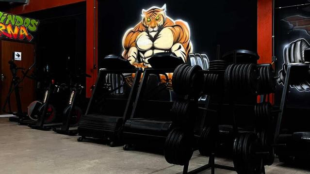 Imagem 1 da galeria do parceiro Tiger Gym Academia