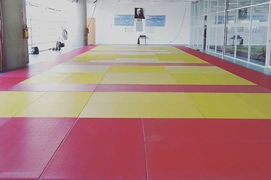 Imagen 1 de la galería del partner Dojo México