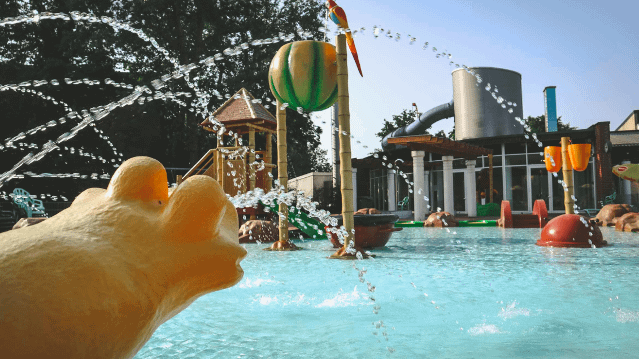 Bild 3 von Embricana Partnergalerie