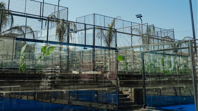 Imagen 2 de la galería del partner Palma Sur Club de Pádel