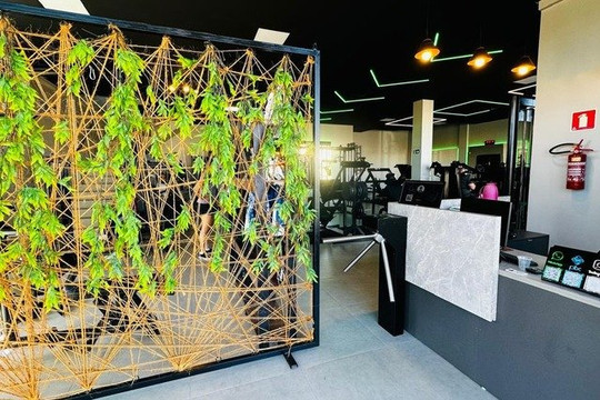 Imagem 1 da galeria do parceiro Academia Brothers