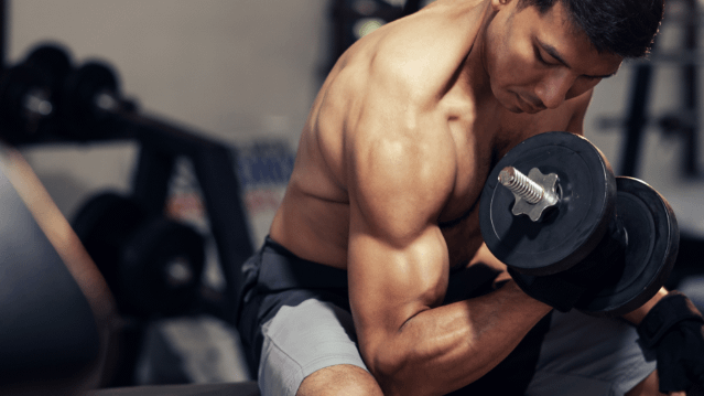 Image 1 from Iron Legends partner gallery