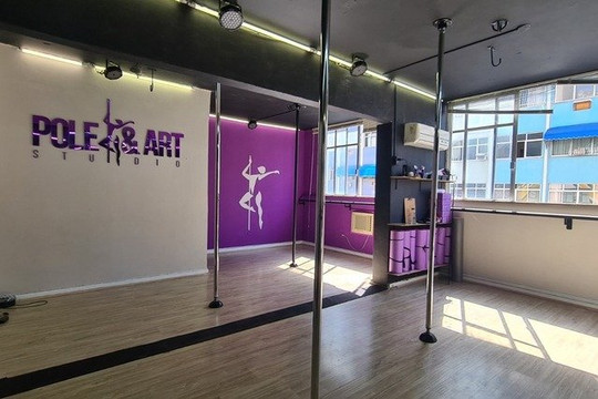 Imagem 1 da galeria do parceiro Pole & Art Studio