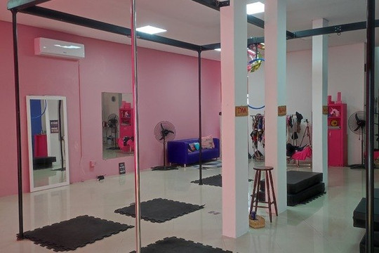 Imagem 3 da galeria do parceiro Butterfly Pole Dance