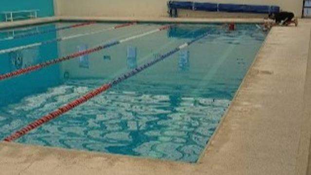 Imagen 3 de la galería del partner Natación Swim Center