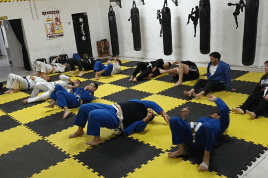 Imagen 1 de la galería del partner Team Bielli