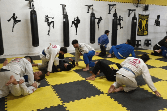 Imagen 2 de la galería del partner Team Bielli