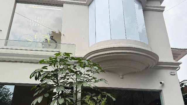 Imagen 2 de la galería del partner Amo Verte Studio