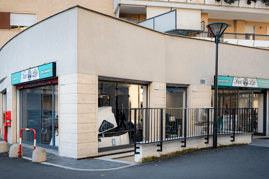 Immagine 2 dalla galleria del partner Tree Life