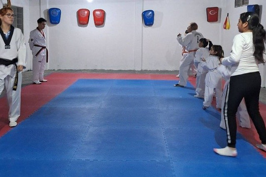 Imagen 1 de la galería del partner Jeonsa Taekwondo herrería