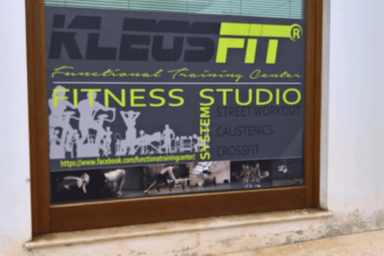Immagine 2 dalla galleria del partner Kleosfit Calisthenics School