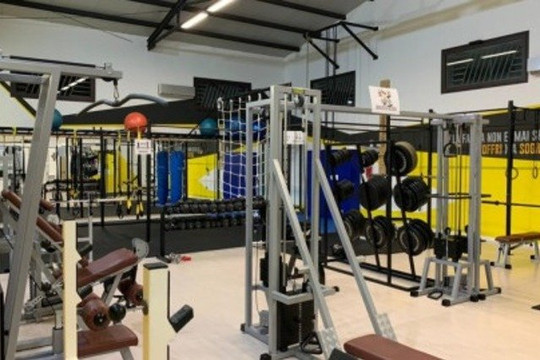 Immagine 3 dalla galleria del partner Kleosfit Calisthenics School