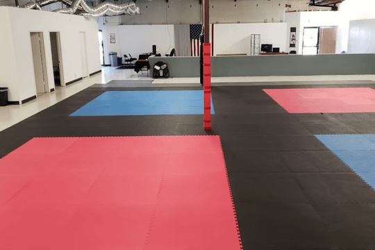 Image 1 from DC Martial Arts partner gallery