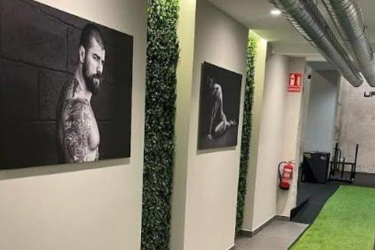 Imagen 2 de la galería del partner Upgrade Málaga