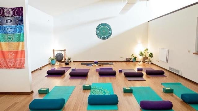 Image 1 from Zen Riot Yoga & Wellness Studio partner gallery