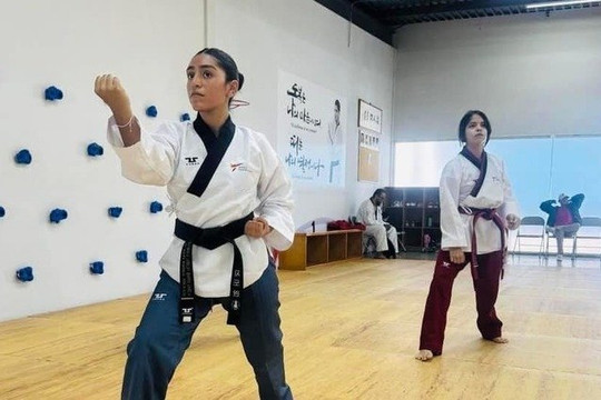 Imagen 2 de la galería del partner Chung Do Kwan Fenix y Dragón Chapultepec