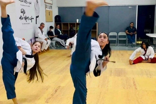 Imagen 3 de la galería del partner Chung Do Kwan Fenix y Dragón Chapultepec