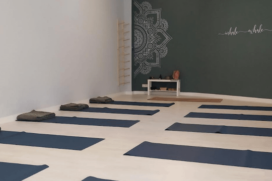 Imagen 1 de la galería del partner Milenarium Yoga