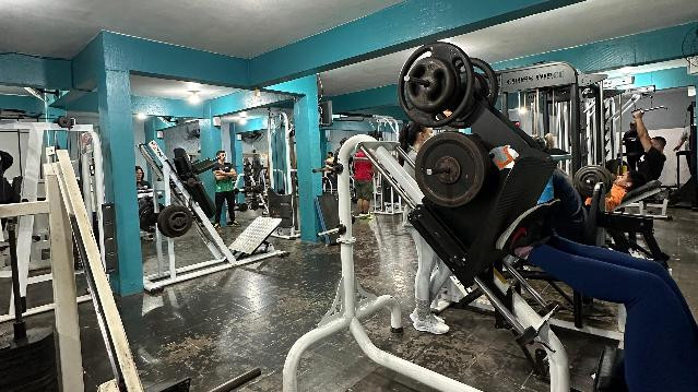 Imagem 1 da galeria do parceiro Pro Corpo Studio