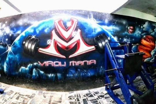 Imagem 1 da galeria do parceiro Academia de Musculação Virou Mania