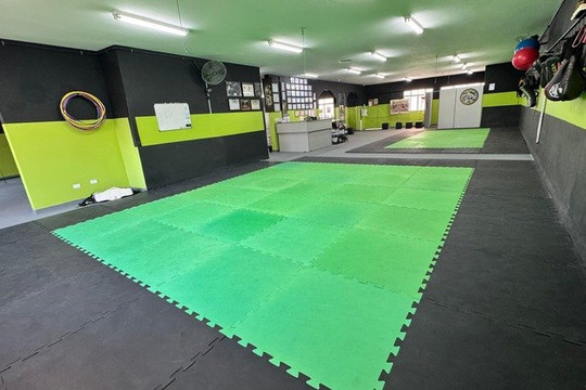 Imagem 1 da galeria do parceiro Taiyokan Martia Arts Academy