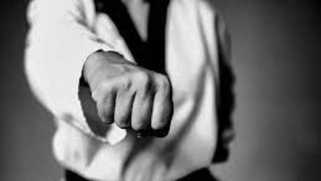 Image 1 from World Taekwondo Monroe/Trumbull partner gallery