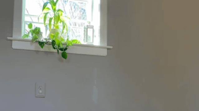 Image 3 from Seva Yoga partner gallery