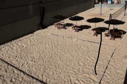 Imagem 1 da galeria do parceiro Arena Quiosque