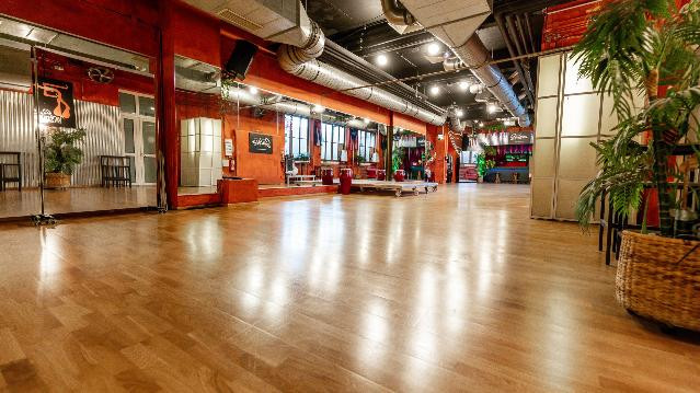 Bild 3 von Salsea Dance Academy Partnergalerie