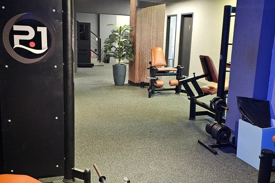 Imagem 3 da galeria do parceiro Iron Jungle Academia