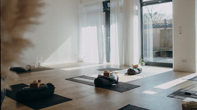 Bild 2 von Yoga Turtles - Franci L Partnergalerie