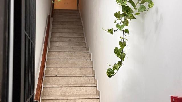 Imagem 3 da galeria do parceiro Action 360˚ - Vila Leopoldina