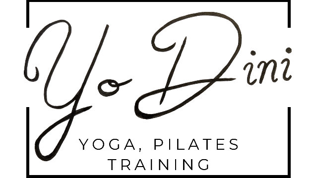 Bild 2 von YoDini Partnergalerie