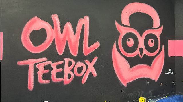 Imagem 1 da galeria do parceiro Owl Teebox