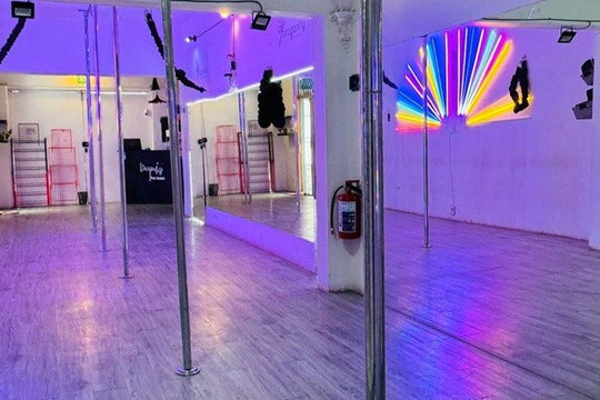 Imagen 3 de la galería del partner Dragonfly Pole Dancers sucursal Del Valle