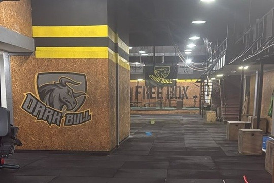 Imagen 1 de la galería del partner Dark Bull